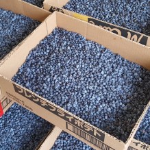 BLUEBERRIES